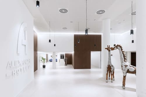 Alexandre Fira Congress, Lobby