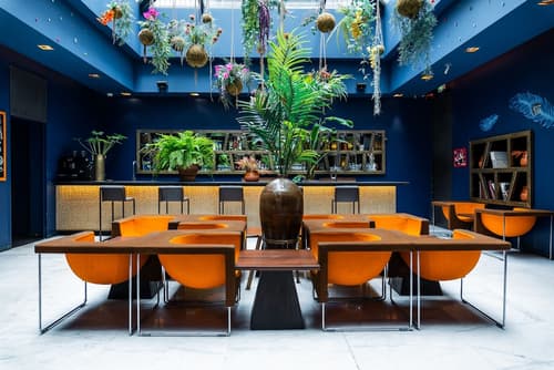 1K Paris, Primary image