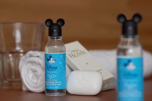 Disney Davy Crockett Ranch