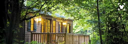 Disney Davy Crockett Ranch, Room