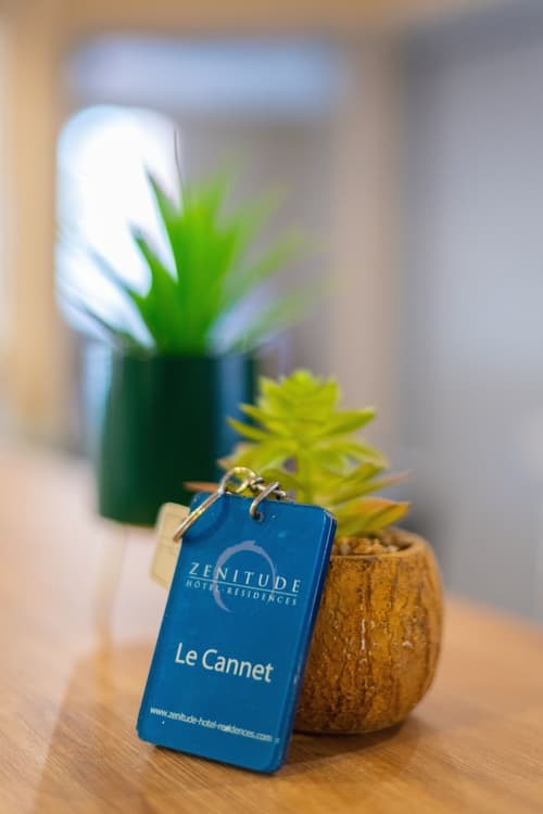 Zenitude Hôtel-Résidences Le Cannet, Reception