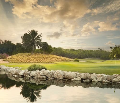 JA Palm Tree Court, Dubai