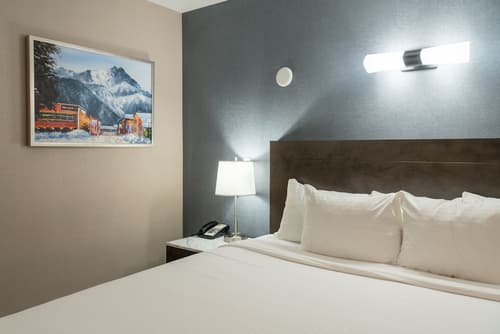 Red Carpet Inn, Room