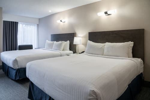 Red Carpet Inn, Room