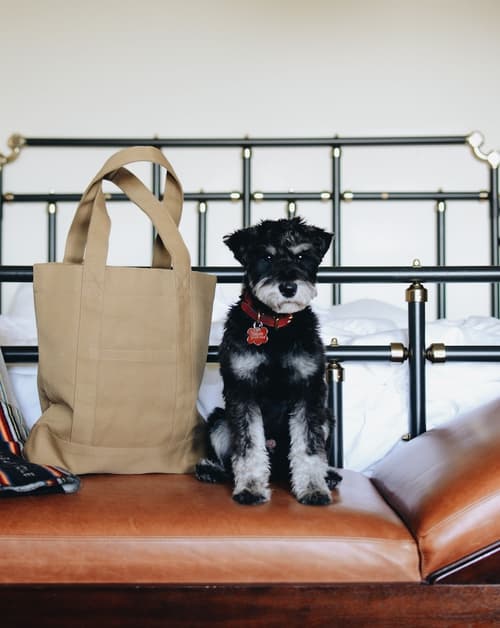 Chicago Athletic Association, a Hyatt Hotel