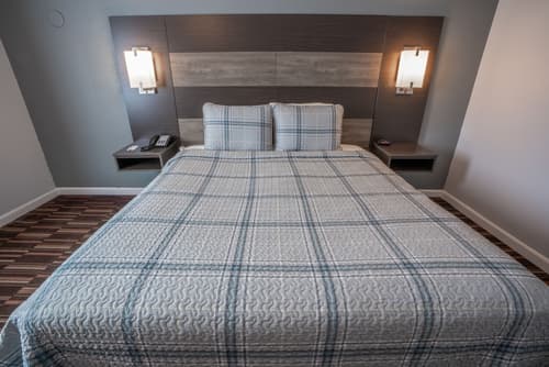 Hyannis Plaza Hotel, Room