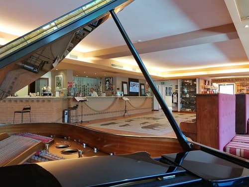 Hotel Giò Wine e Jazz Area, Lobby