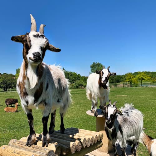 Campanile Val de France