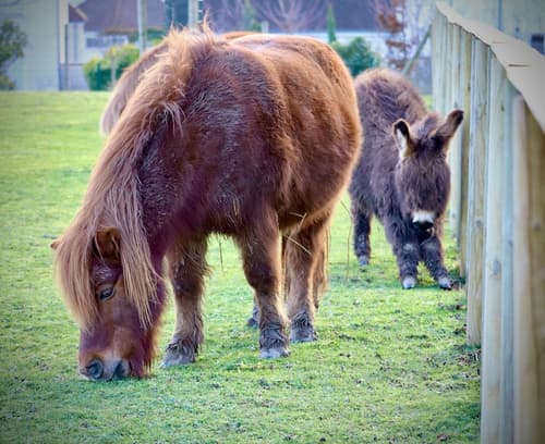 Campanile Val de France, Property amenity