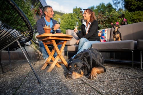 Sunstar Hotel Klosters, Pet-friendly