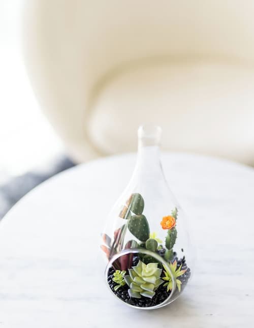 The Palm Springs Hotel, Reception