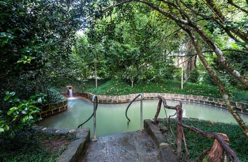 Terra Nostra Garden Hotel, Natural pool