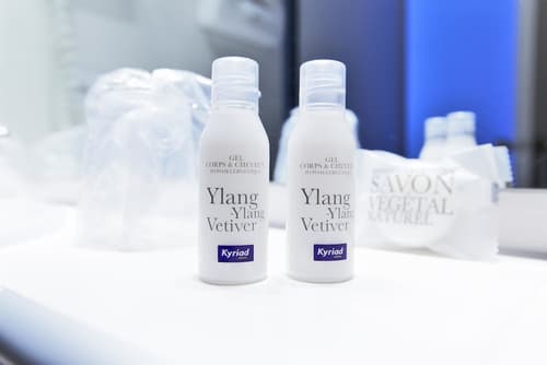 Kyriad Angers Pont De Ce