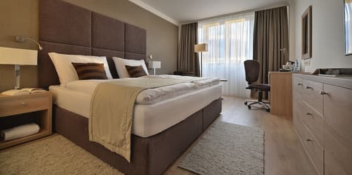 Apollo Hotel Bratislava, Room