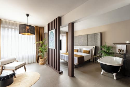 Alp Pasa Hotel - Special Class, Room