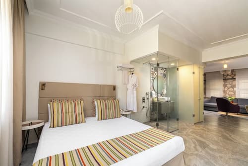 Alp Pasa Hotel - Special Class, Room