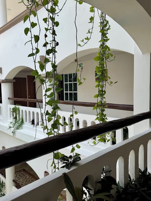 Illusion Boutique Hotel