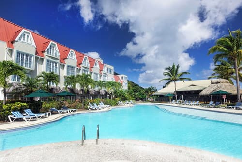 Coco Palm, Primary image