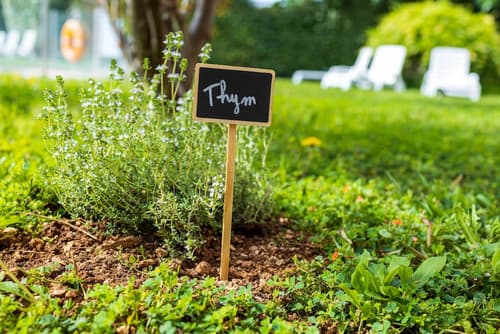 Noemys Toulon La Valette, Exterior