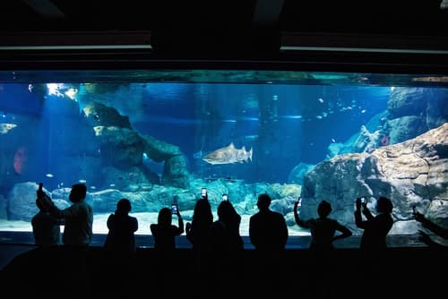 Le Suffren Hotel & Marina