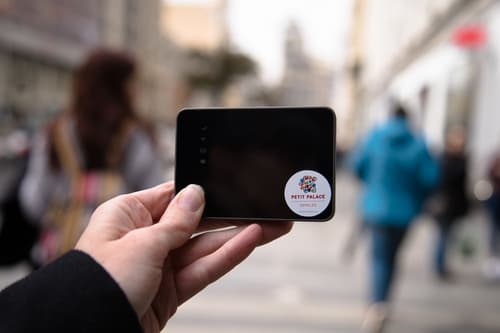 Petit Palace President Castellana