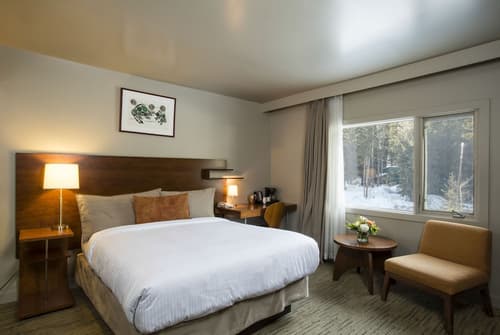 The Juniper Hotel, Room