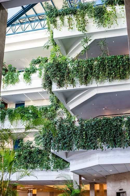 Louis Phaethon Beach