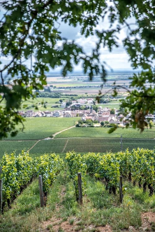 Le Richebourg Hotel Restaurant & Spa