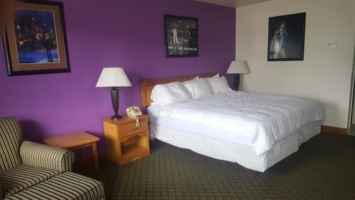 Retro Inn at Mesa Verde, Room