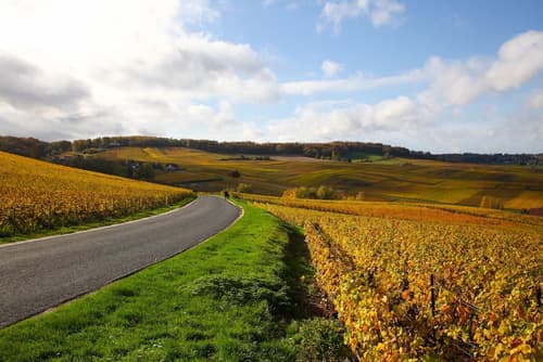 Briqueterie Champagne, A Beauvallon Hotel & Spa, Bicycling