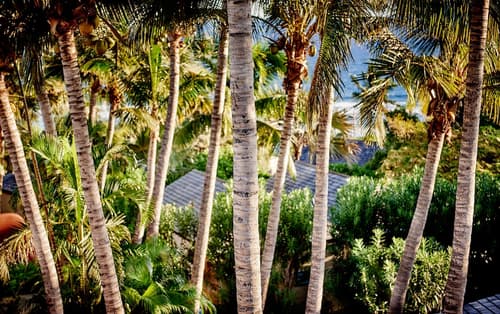 Iloha Seaview Hotel, Property grounds