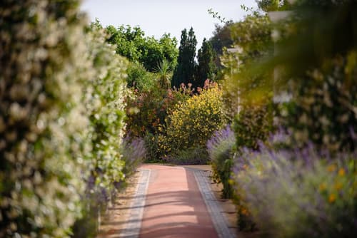 Hotel Bussola di Hermes, Property grounds