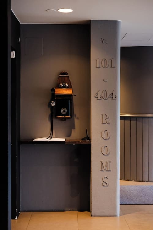 Hotel Odinsve, Lobby