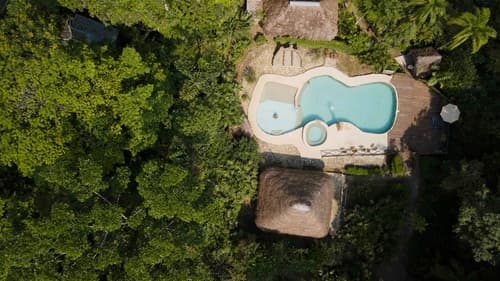 Socia/tel Amazon Tena