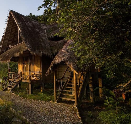 Socia/tel Amazon Tena, Hiking