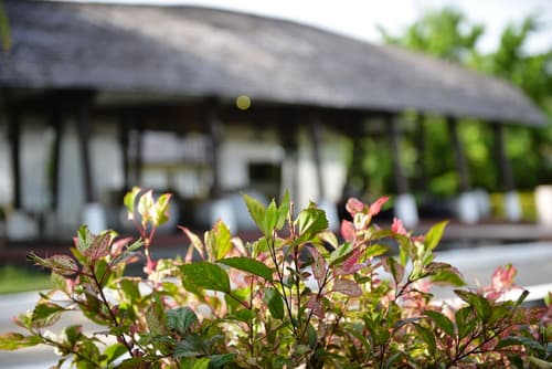 Twin Lotus Resort and Spa - ADULT ONLY, Lobby