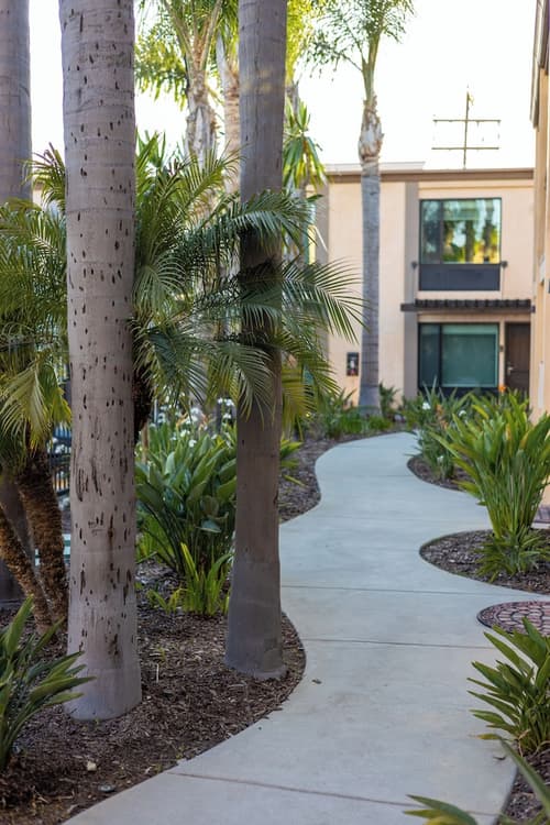 The Cove Hotel, Long Beach, Courtyard