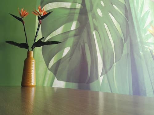 Hotel Sait, Concierge desk