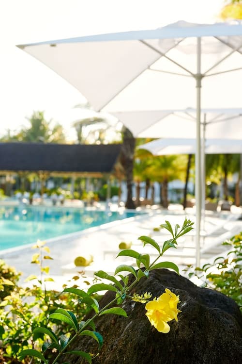 The Ravenala Attitude, Pool