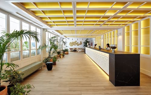 Gran Hotel Flamingo – Adults Only, Reception