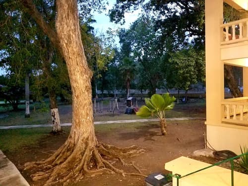 Parador Guánica 1929, Garden