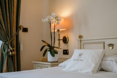 Hotel Savoy Palace
