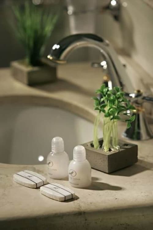 Condor Suites Apart Hotel, Room