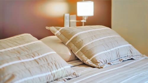 Condor Suites Apart Hotel, Room