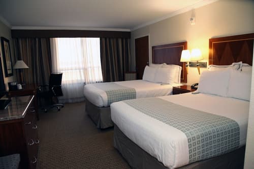 Hotel Executive Suites Newark Liberty Int'l Airport Carteret (EWR), Room