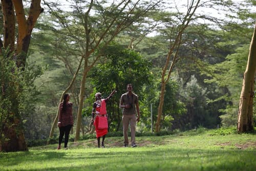 Sarova Lion Hill Game Lodge