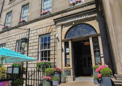 Tigerlily, Primary image