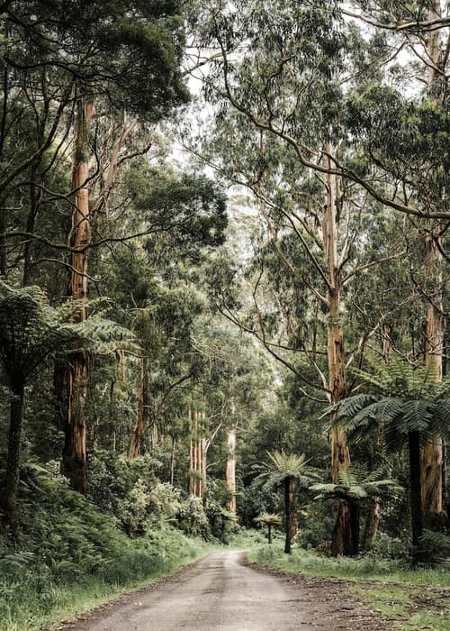 Captains At The Bay, Point of interest