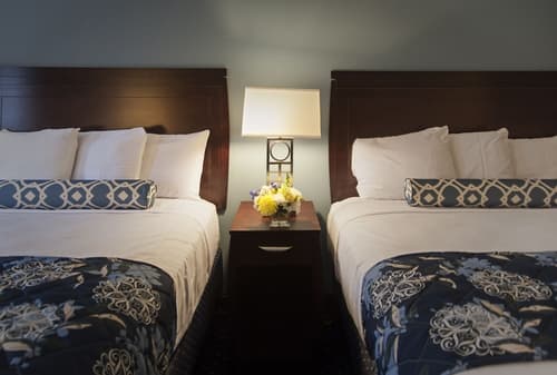 Bar Harbor Manor, Room