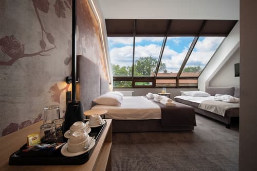 Hotel Alexander I, Primary image